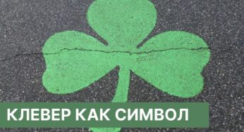 Клевер (трилистник) как символ и знак