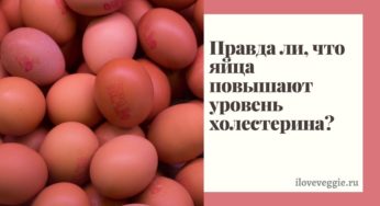 Яйца и холестерин